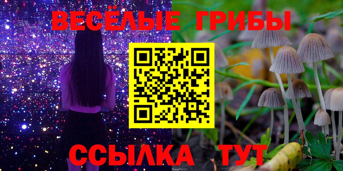 Псилоцибиновые грибы ЛСД  Галлюциногенные грибы Psilocybine cubensis  Ногинск  Вход с VPN 