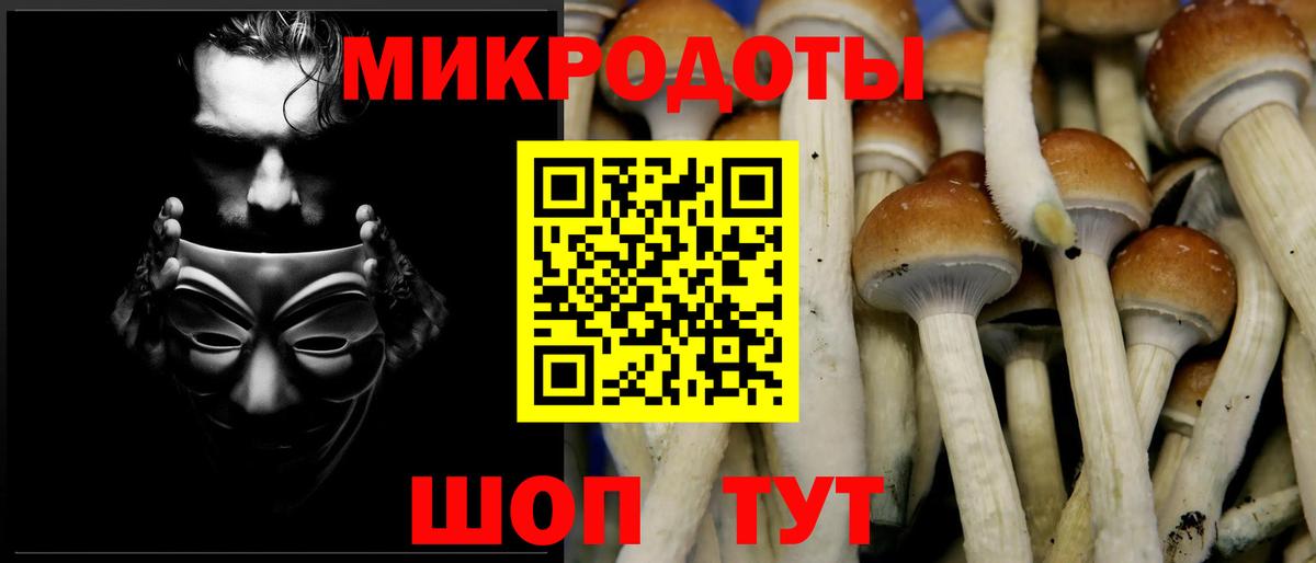 Псилоцибиновые грибы прущие грибы Ногинск